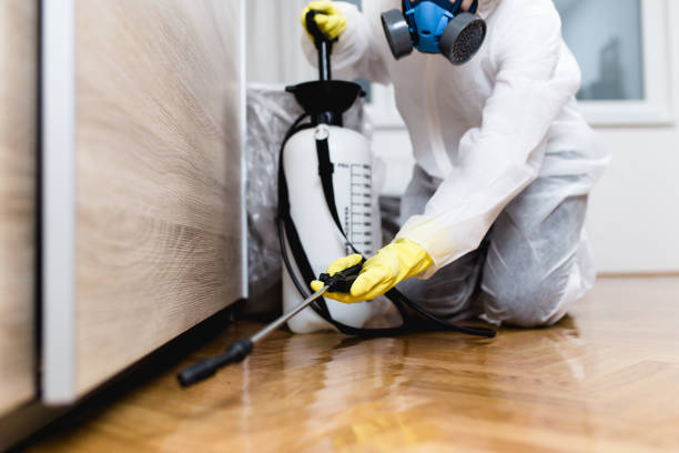Pest Control for Restaurants in Stone Mountain, GA