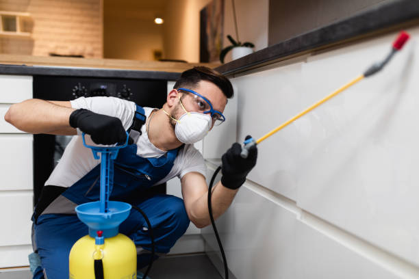  Stone Mountain, GA Pest Control Pros