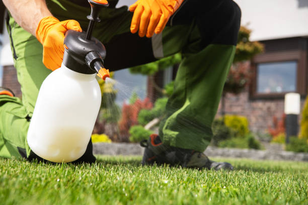Best Commercial Pest Control Services  in Stone Mountain, GA