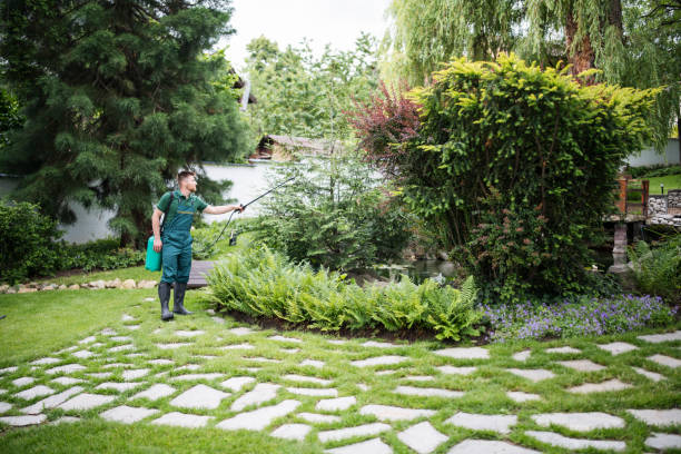 Best Pest Removal Services  in Stone Mountain, GA