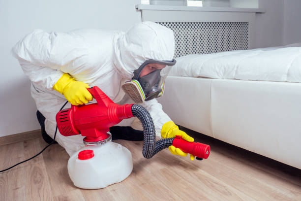 Best Local Pest Control Services  in Stone Mountain, GA