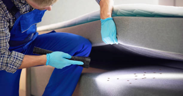 Best Best Pest Control Companies  in Stone Mountain, GA
