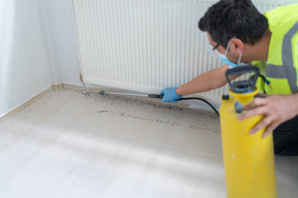 Best Emergency Pest Control  in Stone Mountain, GA