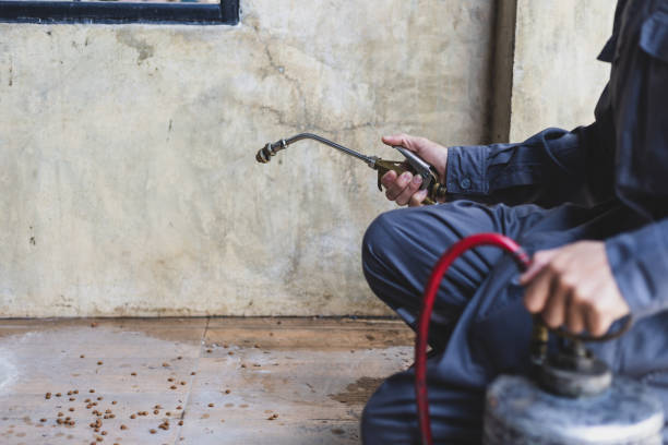 Best Exterminator Services  in Stone Mountain, GA